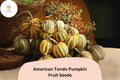 American Tondo Pumpkin Seeds | Italian Heirloom Squash
