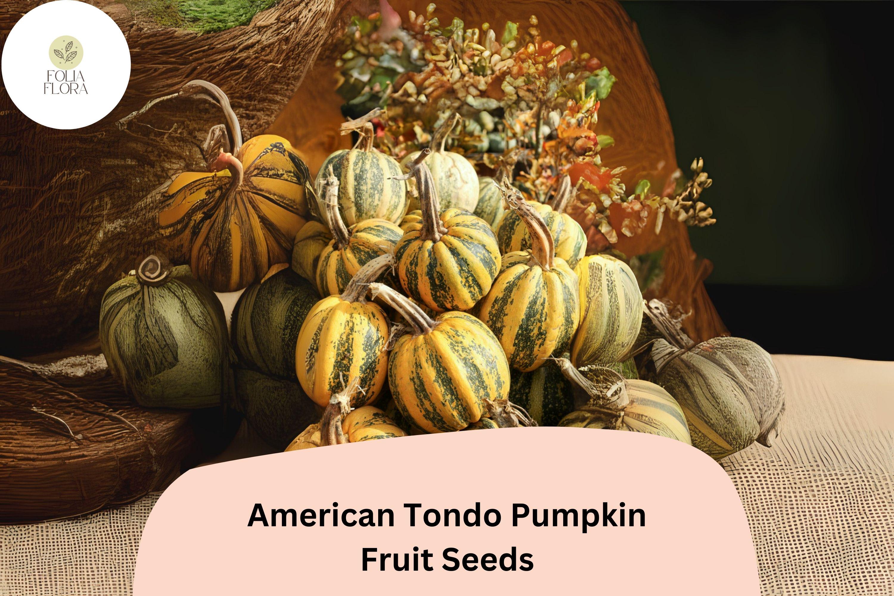 American Tondo Pumpkin Seeds | Italian Heirloom Squash