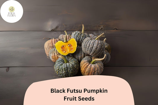 Black Futsu Pumpkin Seeds | Heirloom Japanese Cucurbita moschata