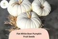 Flat White Boer Pumpkin Seeds | Heirloom South African Variety