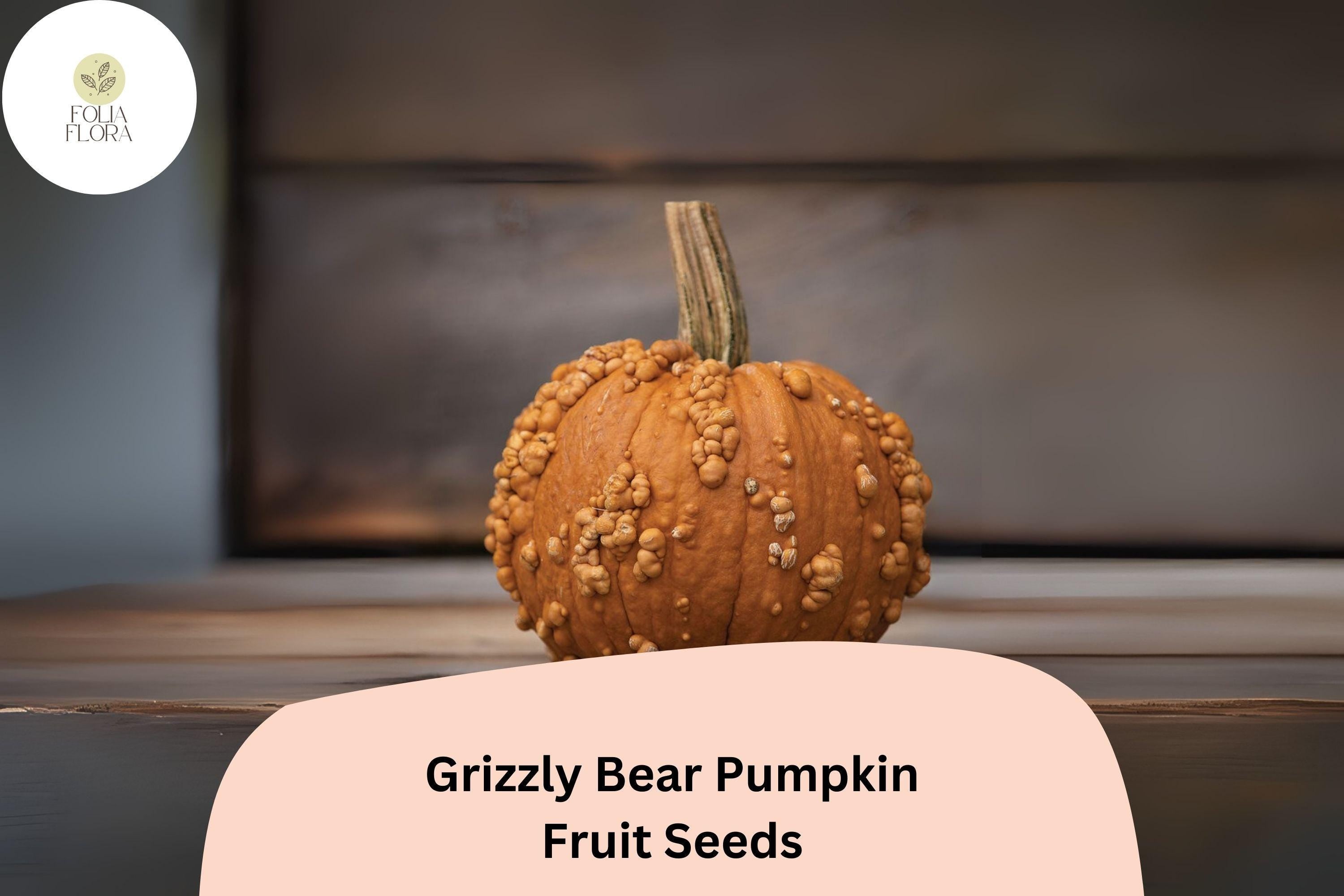 Grizzly Bear Pumpkin Seeds | Rare Brown-Orange Heirloom