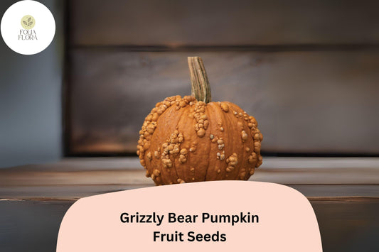 Grizzly Bear Pumpkin Seeds | Rare Brown-Orange Heirloom
