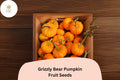 Jack Be Little Pumpkin Seeds | Heirloom Mini Pumpkins