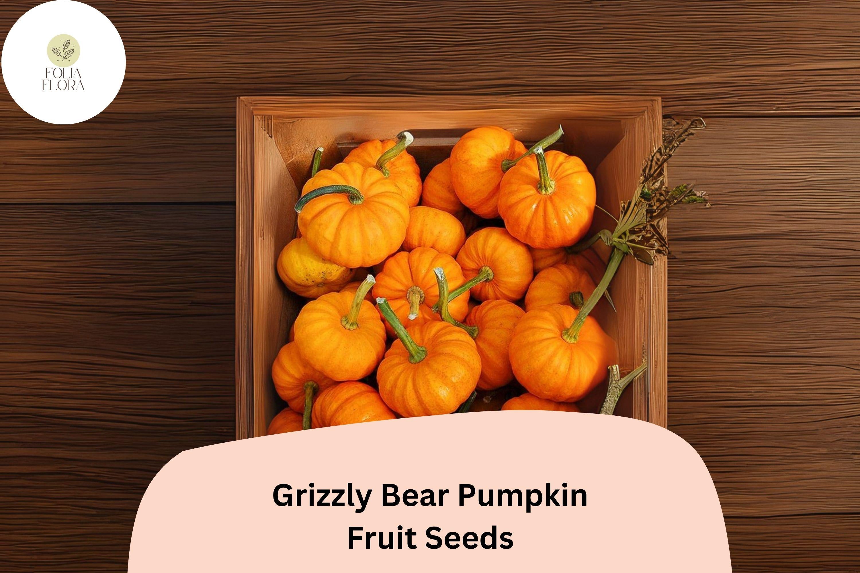 Jack Be Little Pumpkin Seeds | Heirloom Mini Pumpkins