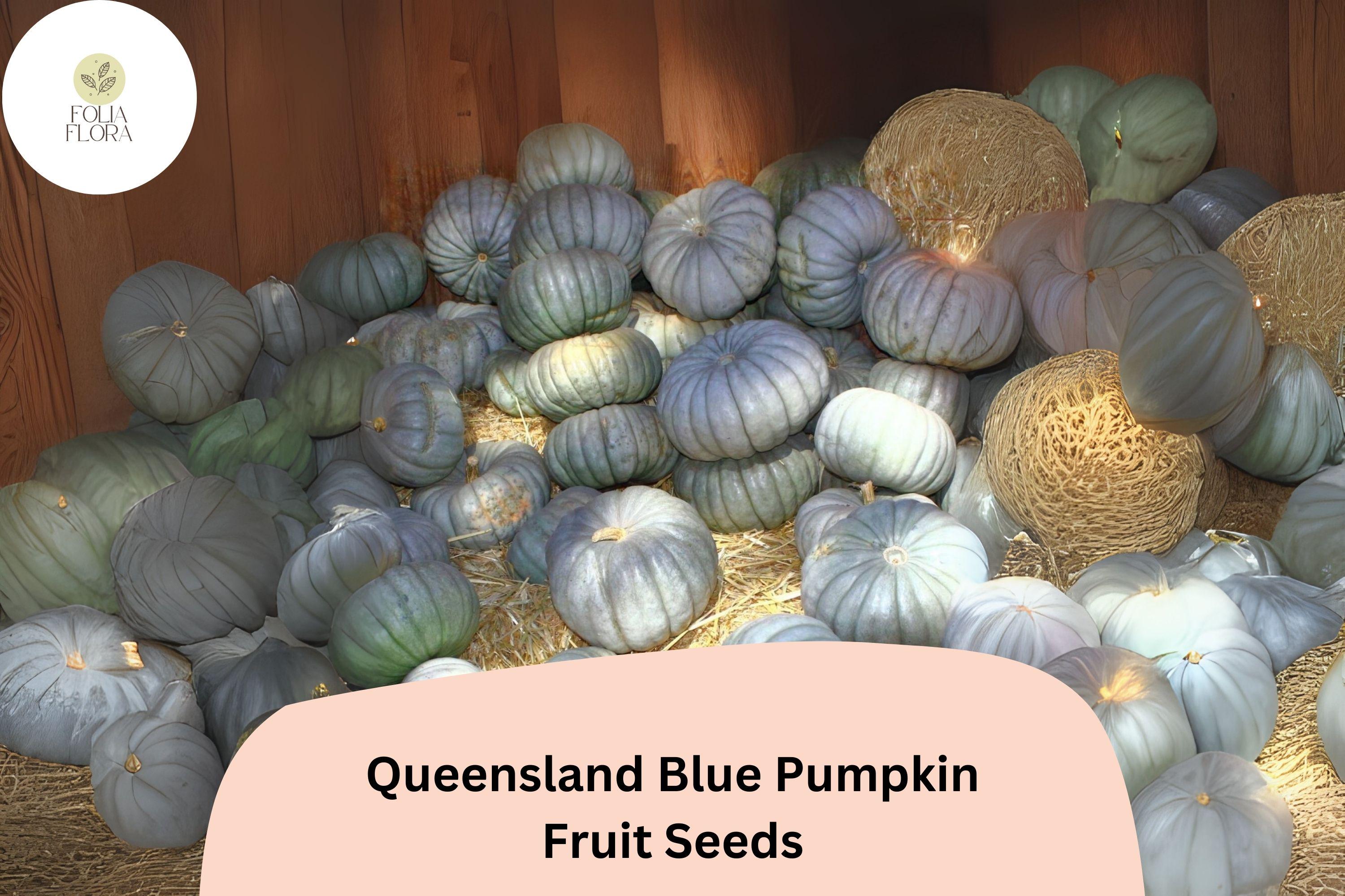 25+ Queensland Blue Pumpkin Seeds | Heirloom Variety for Cooking & Storage