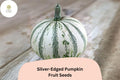 25+ Silver-Edged Pumpkin Seeds | Rare Heirloom Squash | Decorative White-Edged Leaves & Large Fruits