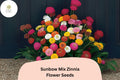 Sunbow Mix Zinnia Seeds: Vibrant Heirloom Garden Flowers