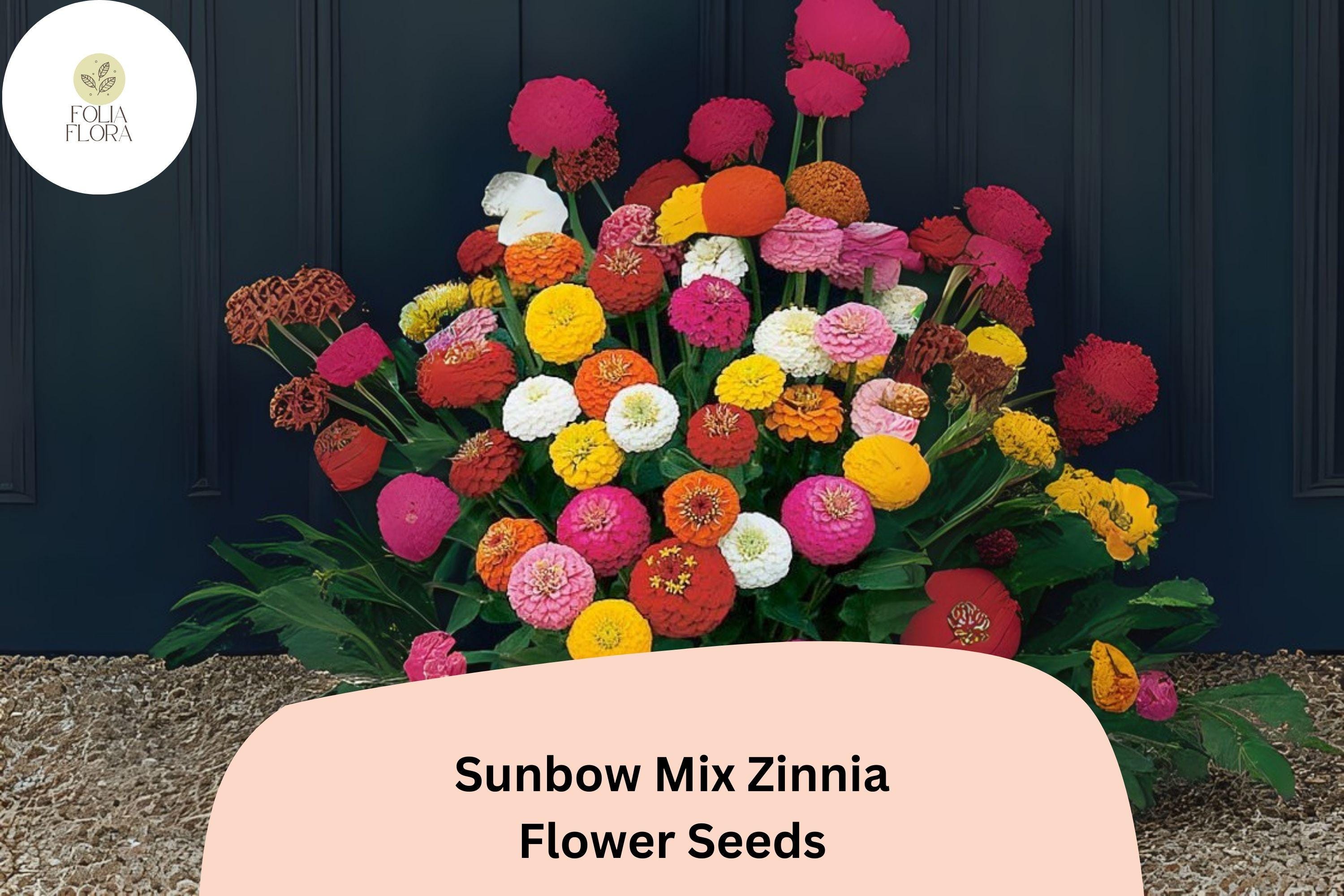 Sunbow Mix Zinnia Seeds: Vibrant Heirloom Garden Flowers