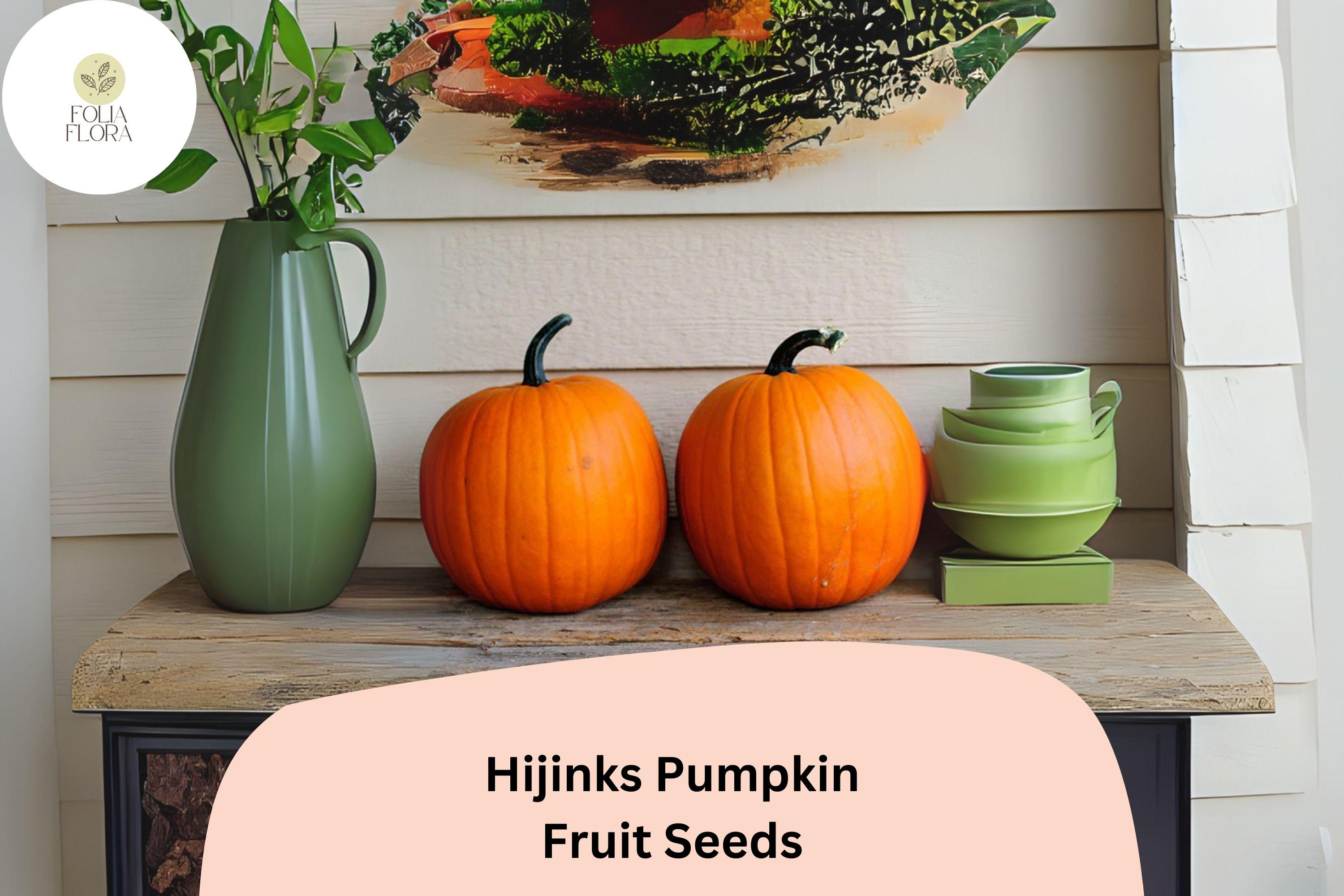 Hijinks Pumpkin Seeds | Award-Winning Mini Pumpkins for Fall Decor