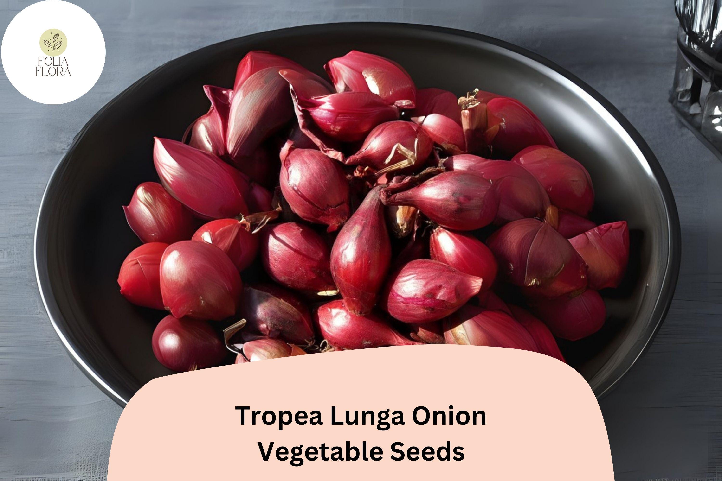 Tropea Lunga Onion Seeds | 500+ Italian Heirloom Seeds