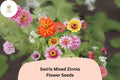 Swirls Mix Zinnia Seeds â€“ Heirloom Non-GMO Annual Flowers
