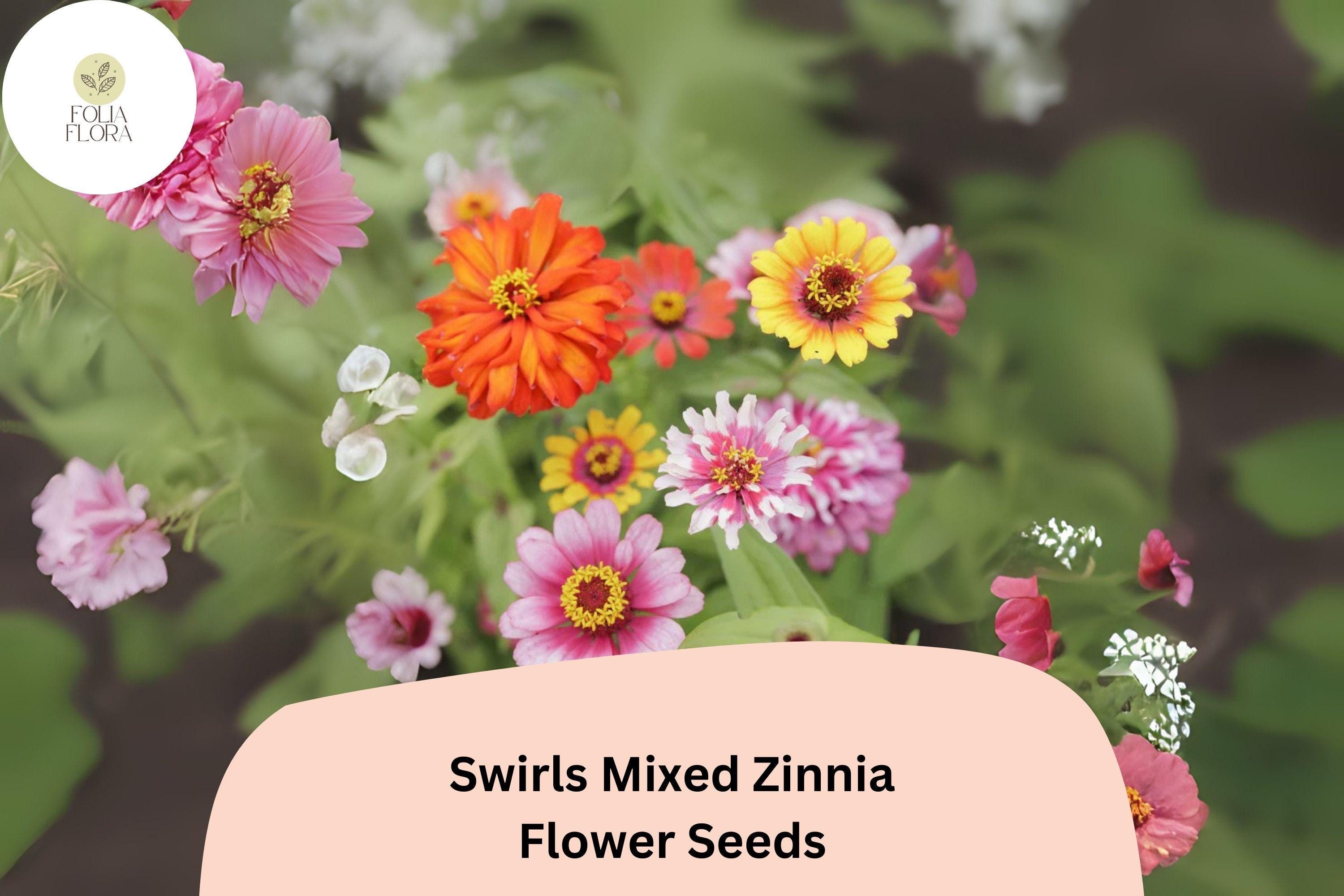 Swirls Mix Zinnia Seeds â€“ Heirloom Non-GMO Annual Flowers