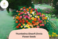 100+ Thumbelina Dwarf Zinnia Seeds â€“ Compact Non-GMO Annual Flowers for Garden Planting, Pots & Borders