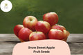 Snow Sweet Apple Seeds | Rare Heirloom Variety for Home Orchard