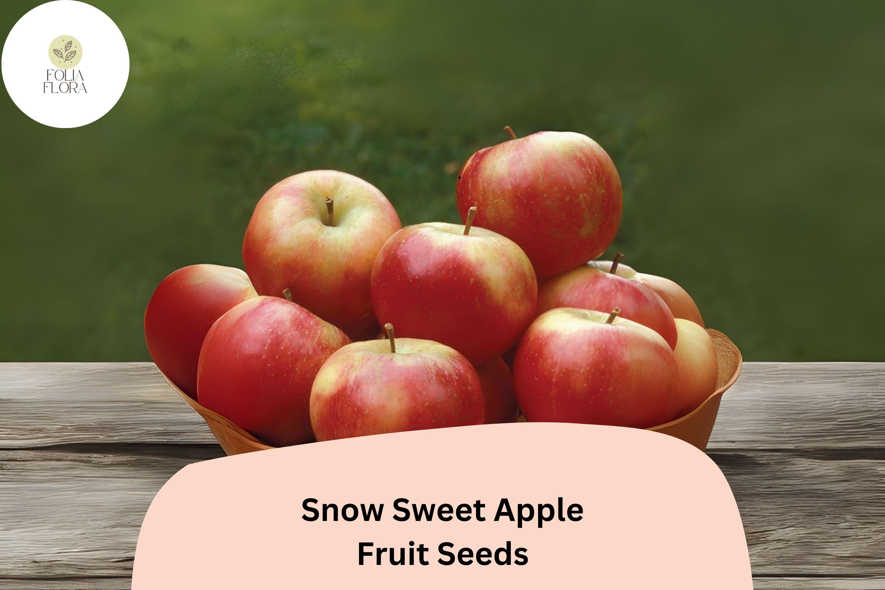 Snow Sweet Apple Seeds | Rare Heirloom Variety for Home Orchard