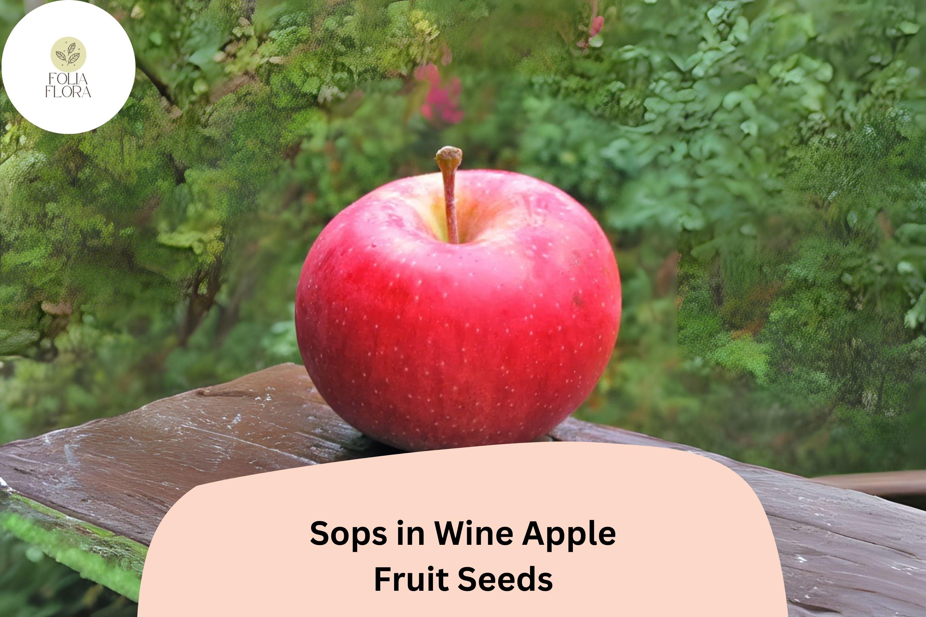 Sops in Wine Apple Seeds | Rare Red-Fleshed Heirloom Variety