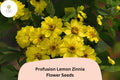 100+ Profusion Lemon Zinnia Seeds â€“ Bright Yellow Blooms for Garden Planting, Beds & Borders