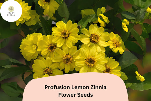 100+ Profusion Lemon Zinnia Seeds â€“ Bright Yellow Blooms for Garden Planting, Beds & Borders