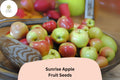 Sunrise Apple Seeds | Early Season, Sweet & Juicy