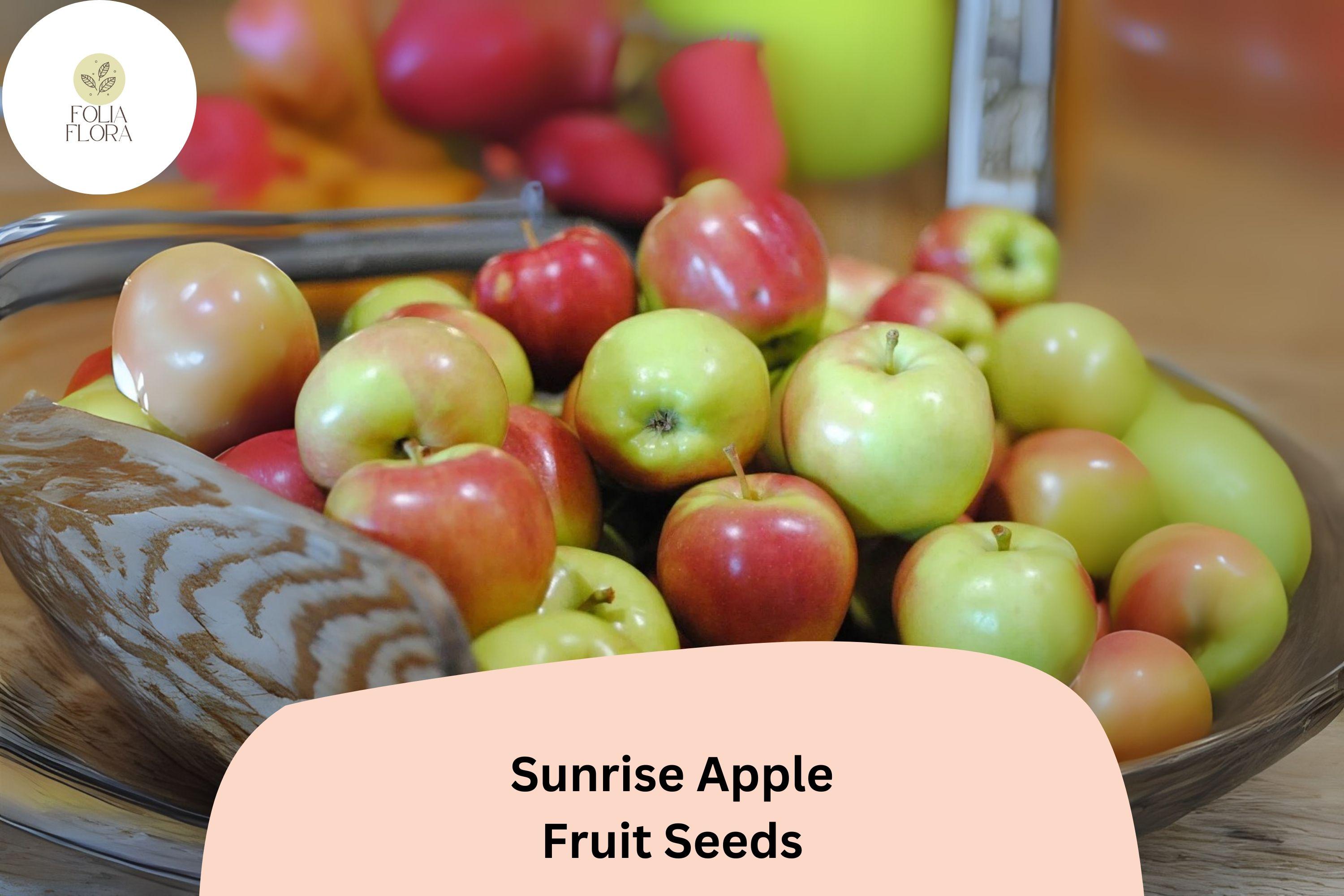 Sunrise Apple Seeds | Early Season, Sweet & Juicy