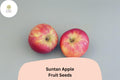 Suntan Apple Seeds | 25+ Malus Domestica, Late Season English Variety