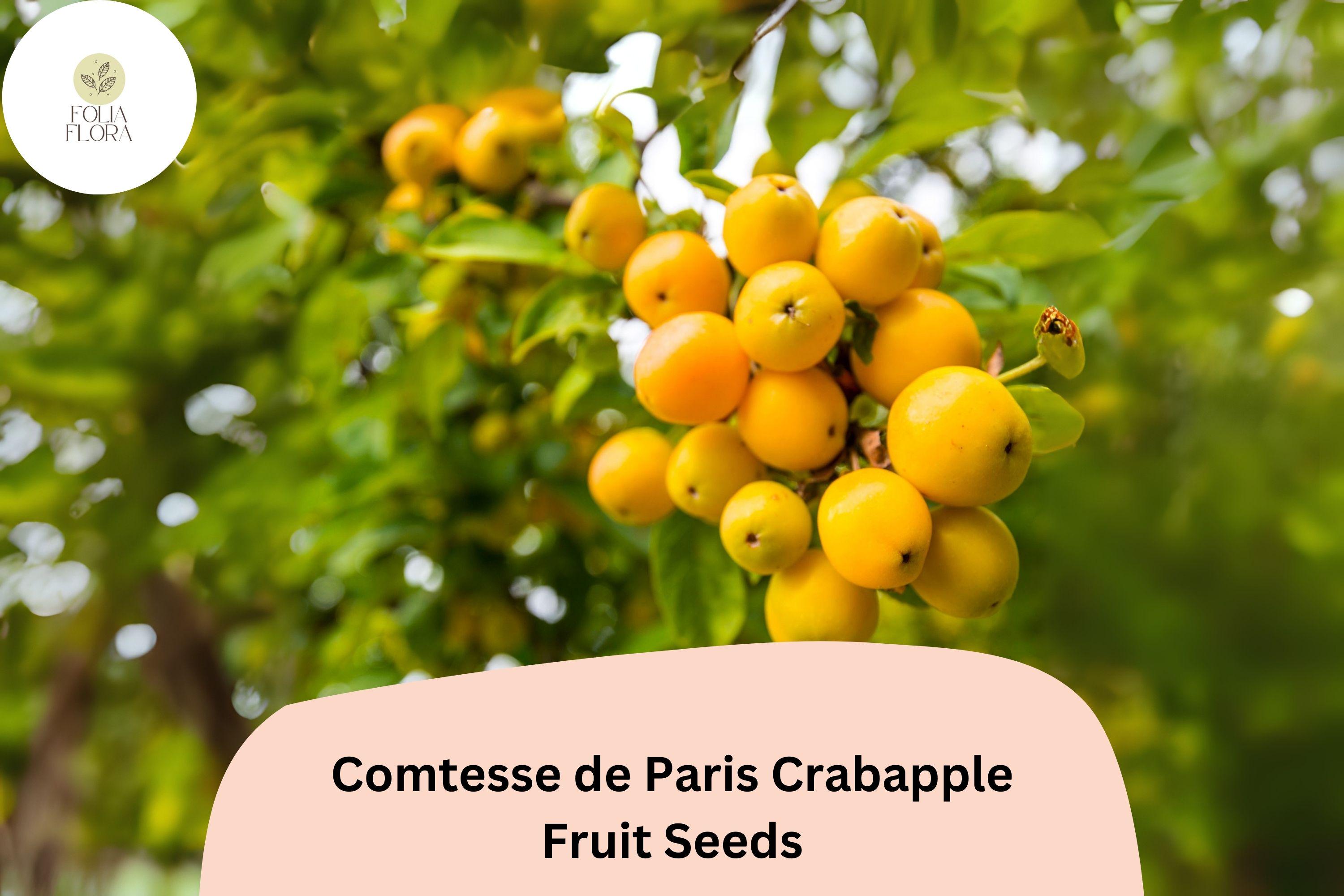 Comtesse de Paris Crabapple Seeds | Ornamental Tree, Pink Blossoms & Yellow Fruit