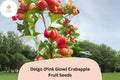 Dolgo Crabapple Seeds | Pink Blossoms, Red Fall Fruit | Ornamental Tree