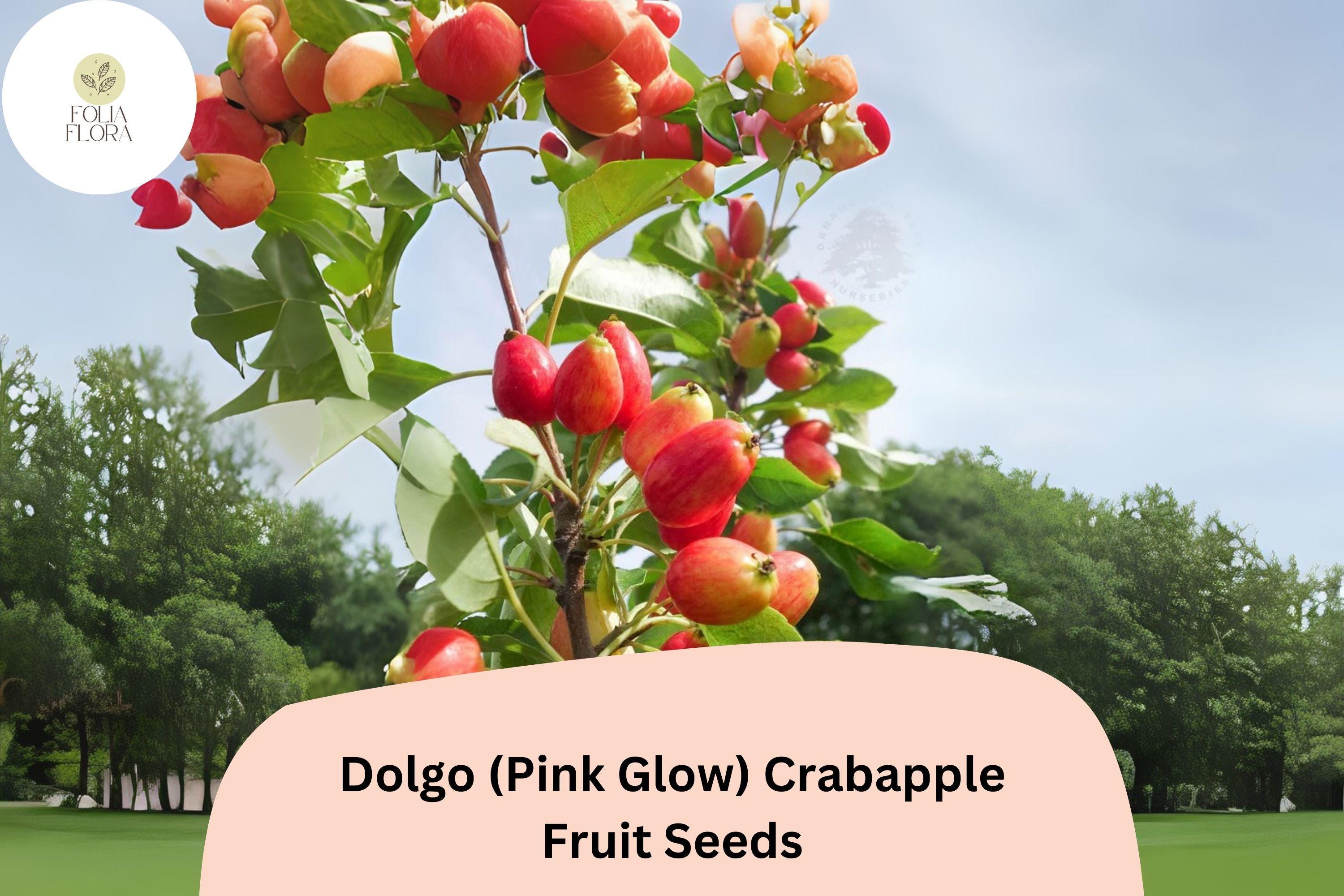 Dolgo Crabapple Seeds | Pink Blossoms, Red Fall Fruit | Ornamental Tree