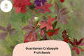 25+ Guardsman Crabapple Seeds | Malus â€˜Guardsmanâ€™ Ornamental Tree | Red-Pink Spring Blossoms & Bright Fruit