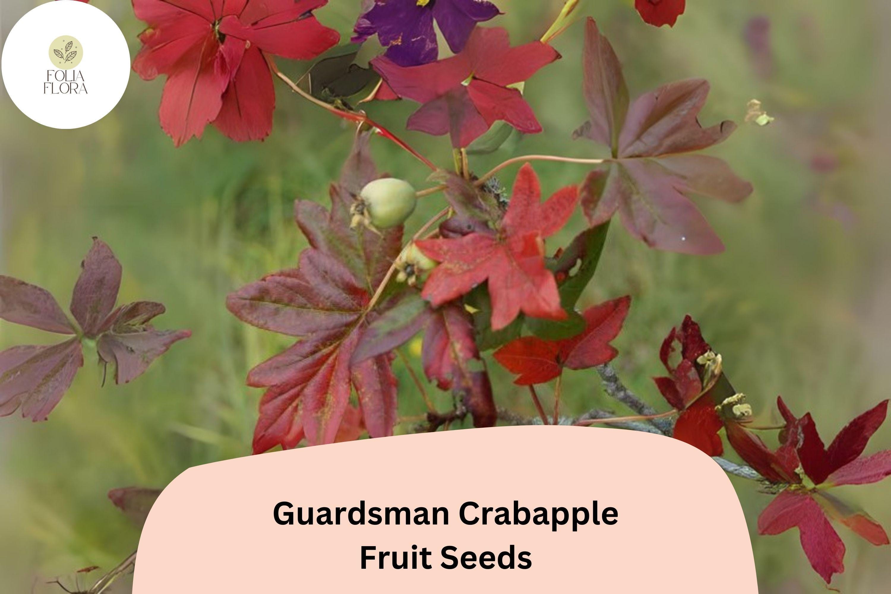25+ Guardsman Crabapple Seeds | Malus â€˜Guardsmanâ€™ Ornamental Tree | Red-Pink Spring Blossoms & Bright Fruit