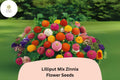100+ Lilliput Mix Zinnia Seeds â€“ Small Pompon Blooms for Borders, Bouquets & Summer Gardens