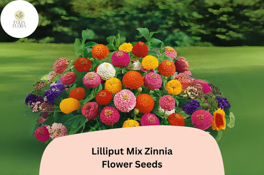 100+ Lilliput Mix Zinnia Seeds â€“ Small Pompon Blooms for Borders, Bouquets & Summer Gardens