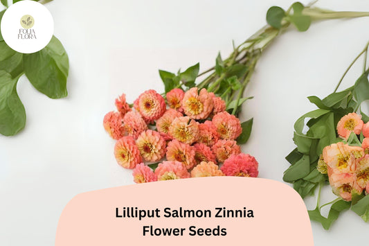100+ Lilliput Salmon Zinnia Seeds â€“ Mini Pompon Blooms for Borders, Beds & Summer Gardens