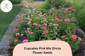Cupcakes Pink Zinnia Seeds â€“ Ruffled Blooms for Summer Gardens