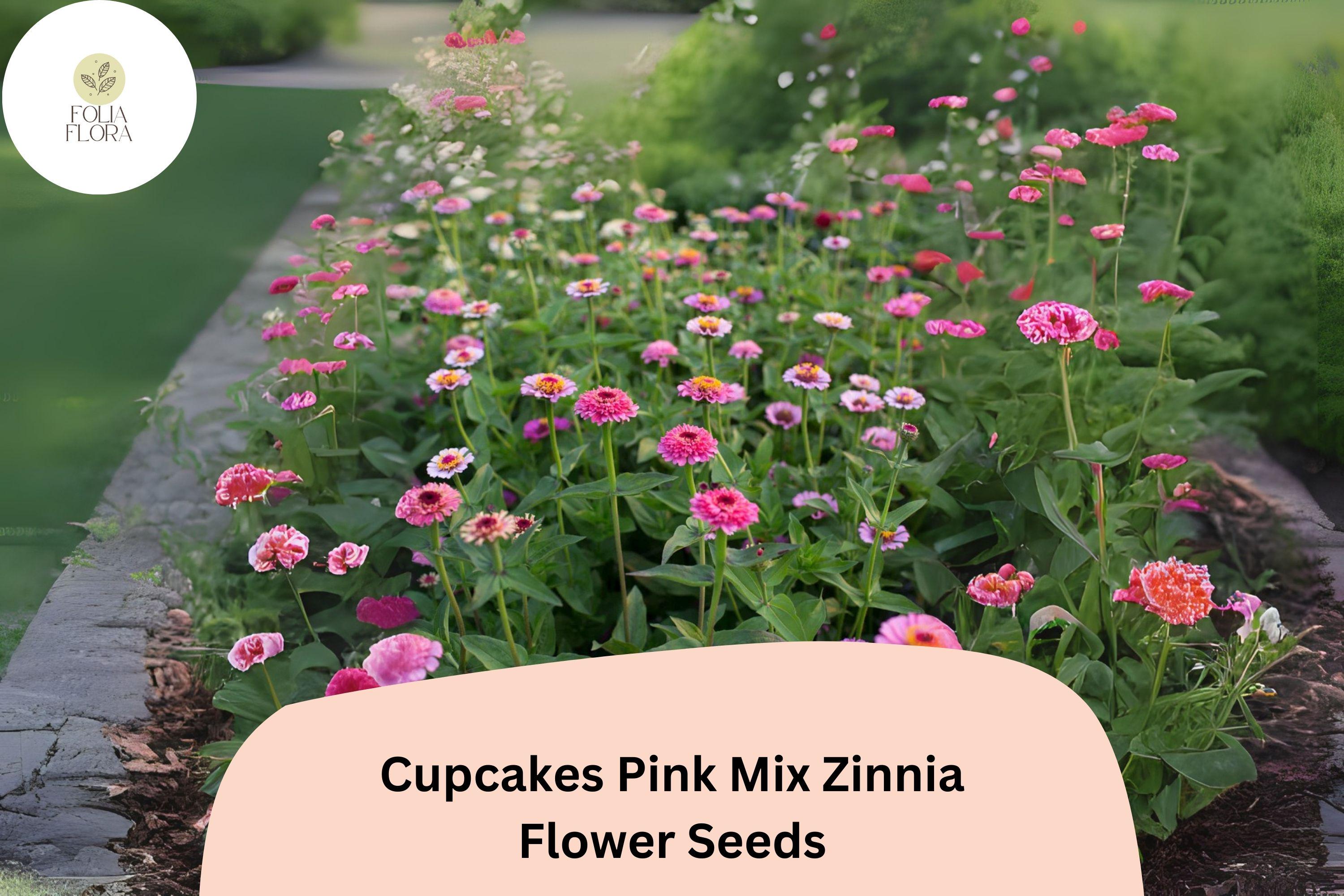 Cupcakes Pink Zinnia Seeds â€“ Ruffled Blooms for Summer Gardens