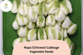 Napa Cabbage Seeds | 500+ Heirloom Brassica Seeds