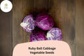 Ruby Ball Cabbage Seeds | 500+ Heirloom Red Vegetable