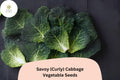 500+ Savoy Cabbage Seeds | Curly-Leaf Heirloom Vegetable | Brassica oleracea | Bulk Seeds for Garden Planting