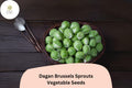 500+ Dagan Brussels Sprouts Seeds | Brassica oleracea | High-Yield Hybrid Sprout Variety | Bulk Garden Seeds
