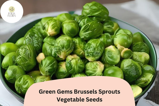 Green Gems Brussels Sprout Seeds | Hybrid, 500+ Bulk Vegetable Seeds