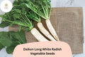 500+ Daikon Long White Radish Seeds â€“ Heirloom Asian Radish for Garden Planting
