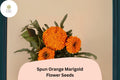 Spun Orange Marigold Seeds | Tagetes Erecta, Ruffled Blooms