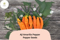 Aji Amarillo Pepper Seeds | Peruvian Heirloom Chili, Spicy Garden