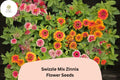 Swizzle Mix Zinnia Seeds | Two-Toned Annual Cut Flowers