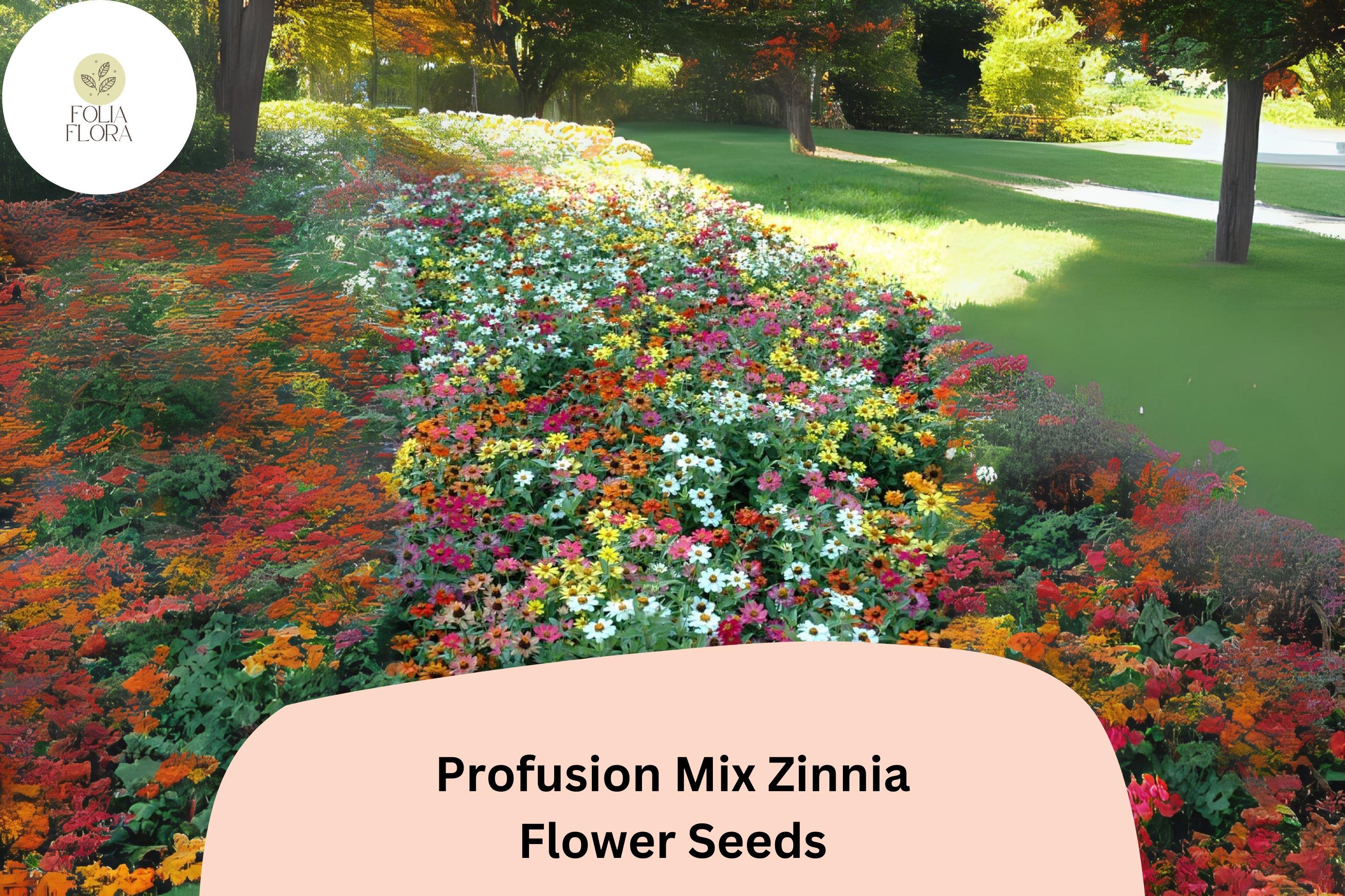 Profusion Mix Zinnia Seeds: Colorful, Compact Blooms - Pollinator Friendly
