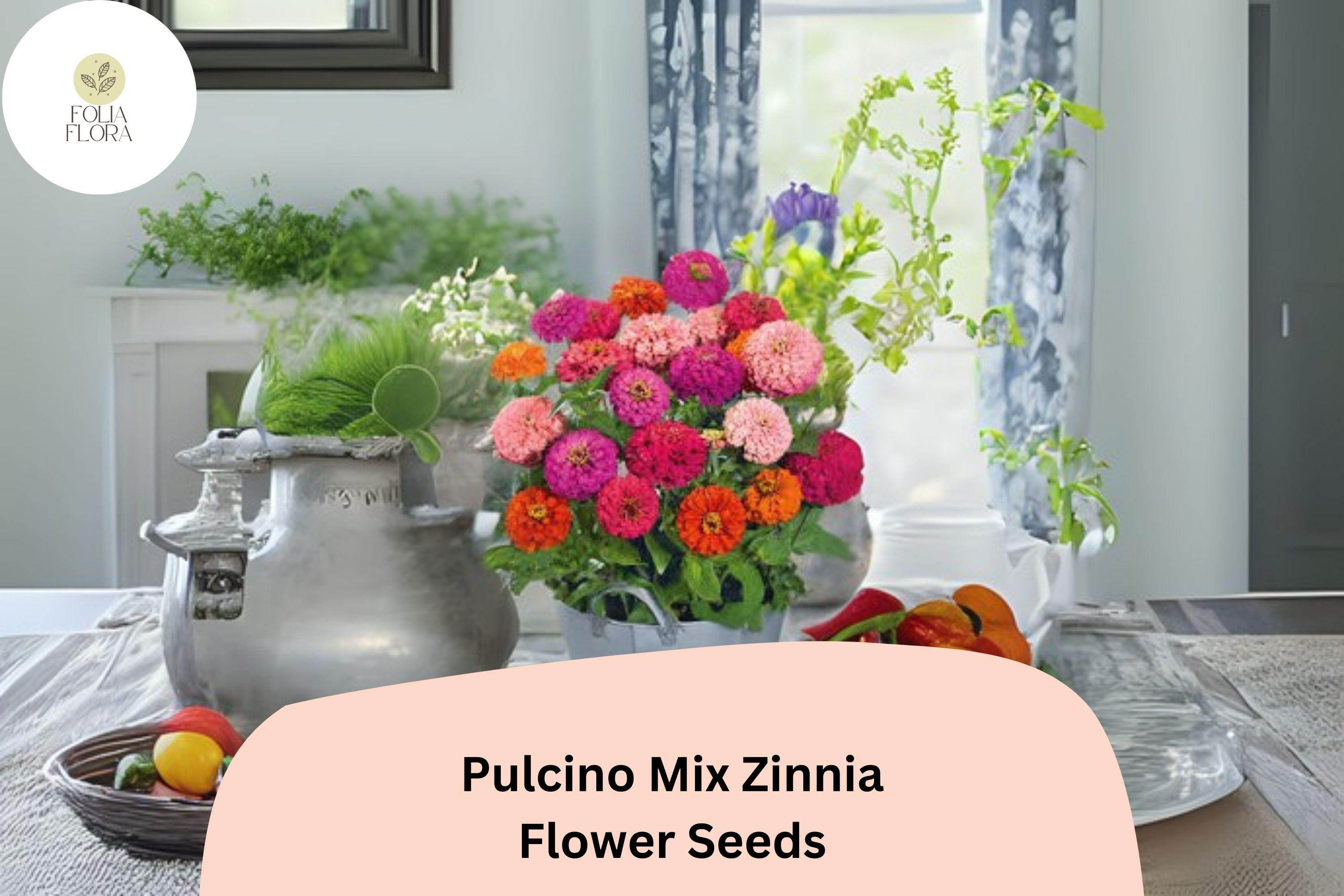 Pulcino Mix Zinnia Seeds: Dwarf Zinnia elegans for Pollinator Gardens