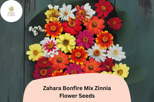 100+ Zahara Bonfire Zinnia Seeds â€“ Red, Orange, Yellow Blooms