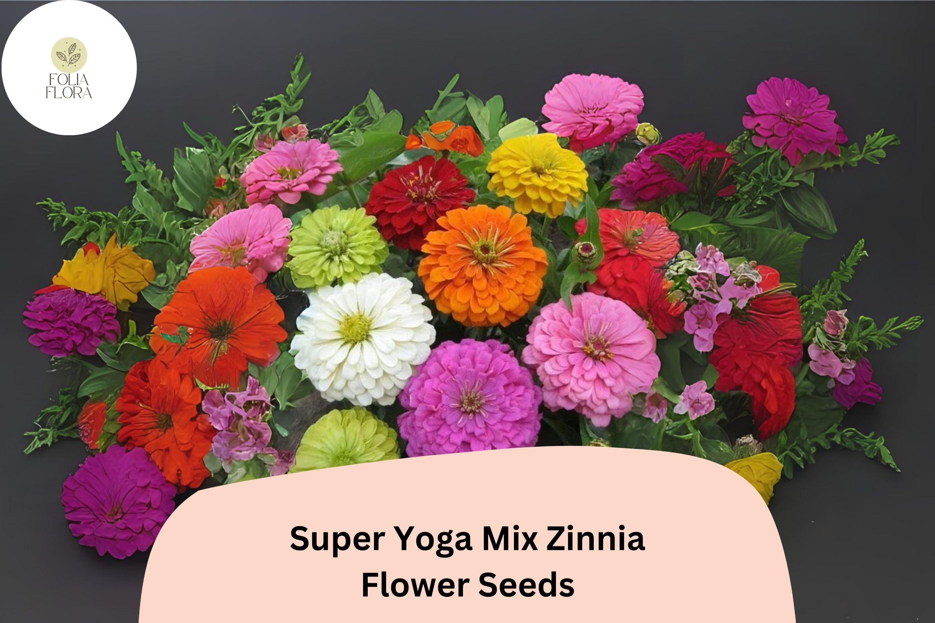 Super Yoga Mix Zinnia Seeds â€“ 100+ Non-GMO Zinnia Elegans