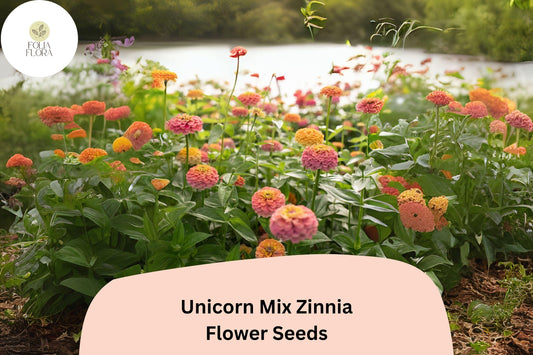 Unicorn Mix Zinnia Seeds â€“ Pastel & Bright Blend, Non-GMO
