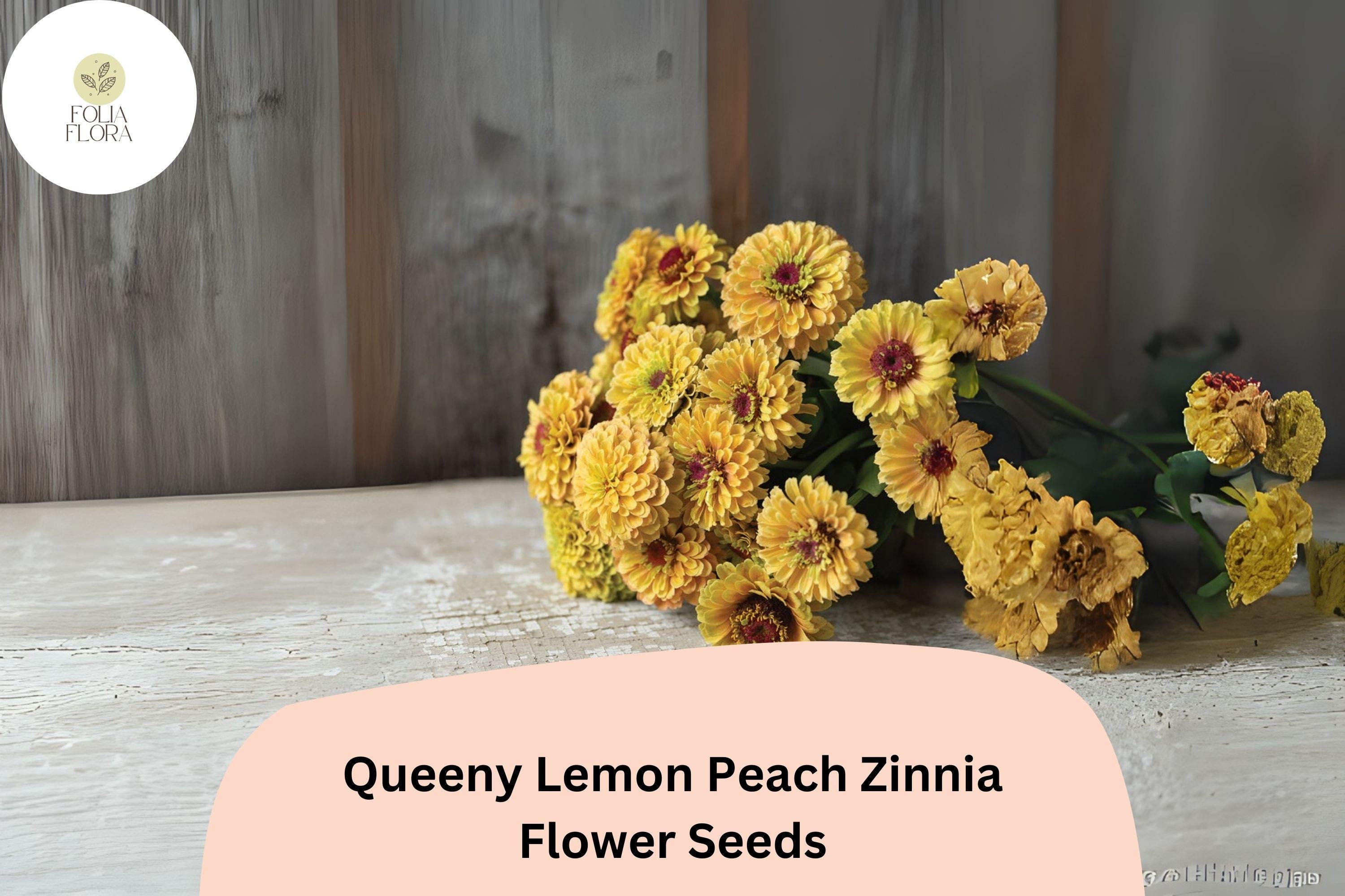 Queeny Lemon Peach Zinnia Seeds â€“ Non-GMO, Unique Blooms (100+ Seeds)